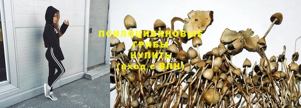 кокаин колумбия Дмитриев