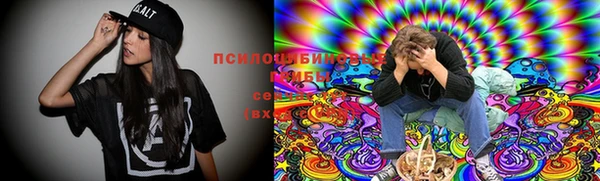 Альфа ПВП Дмитровск