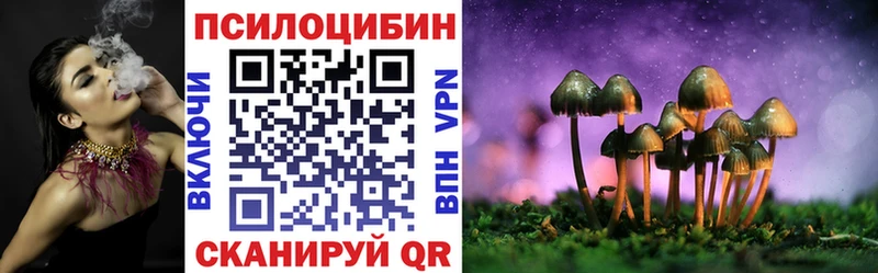 Купить где  Спасск-Дальний  Галлюциногенные грибы Cubensis 